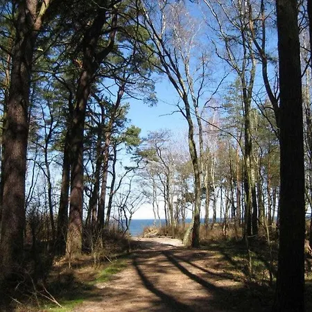 Claudia Comfortable *