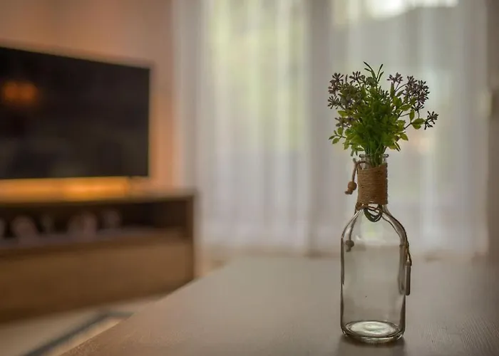 Claudia Comfortable *