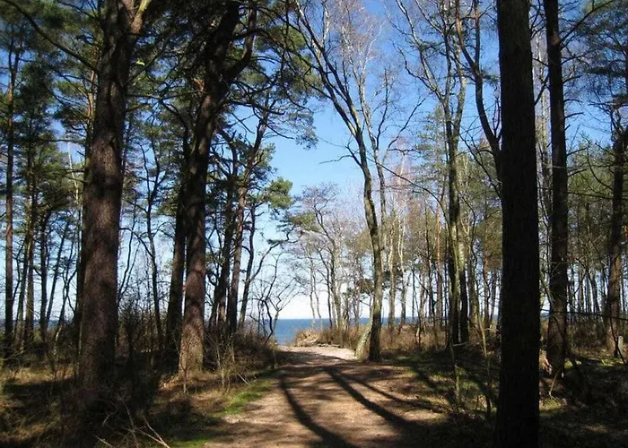 Claudia Comfortable *